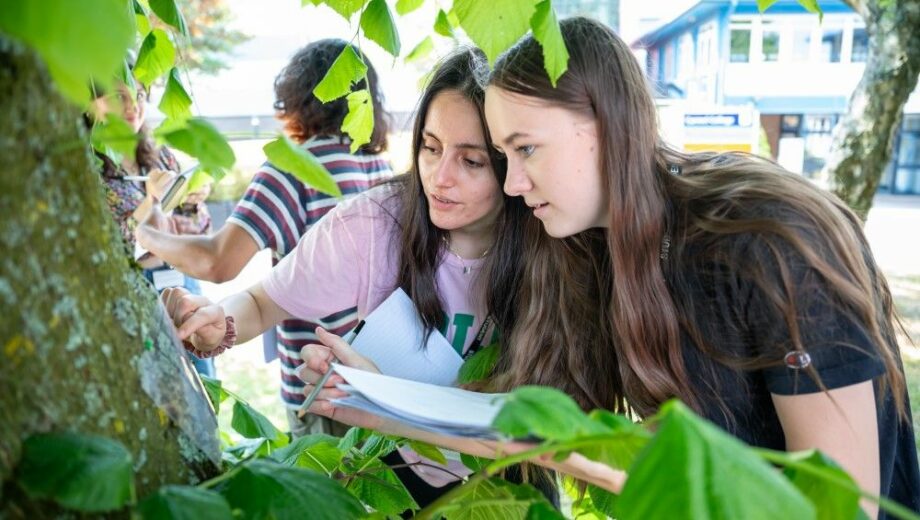 Students outside taking samples off tree bark. btec colleges near me
