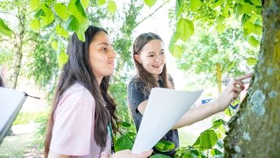 Two Biology students looking at a tree.