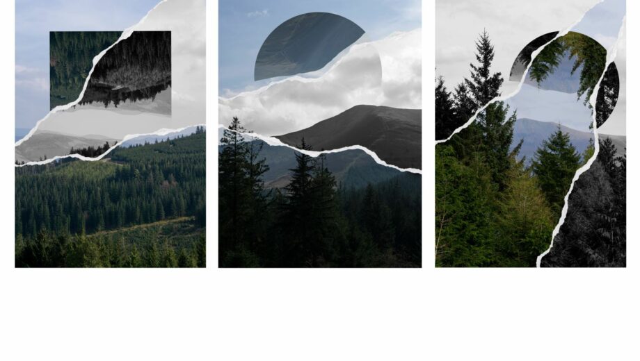 Photography artwork of mountains