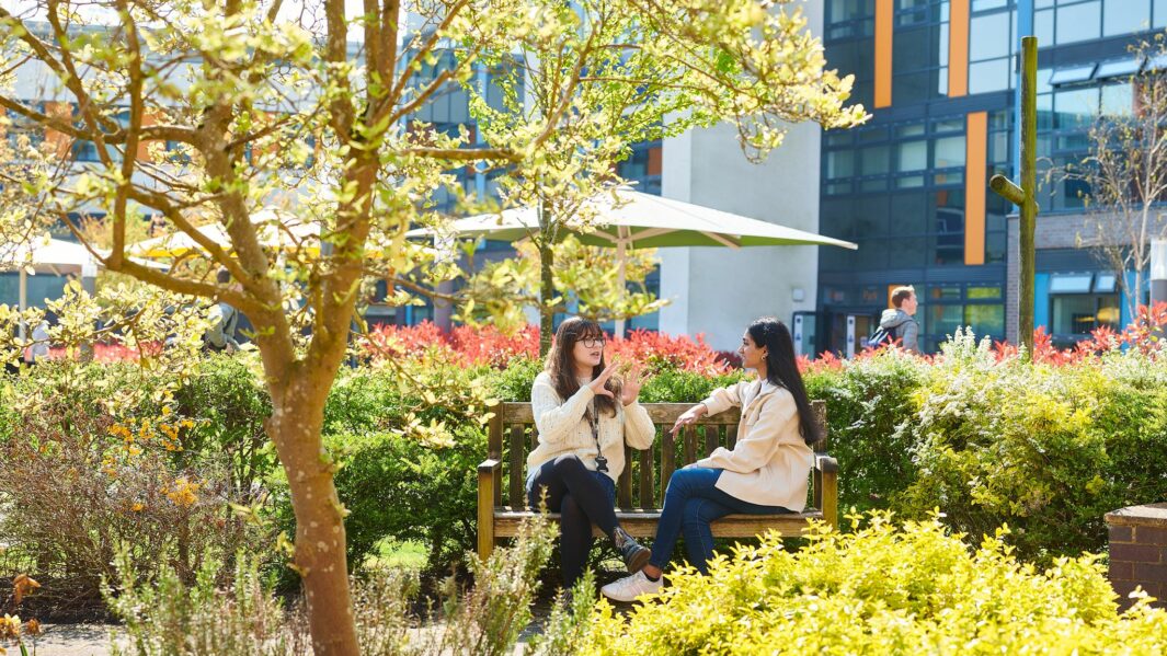 Students talking in courtyard outside amongst trees.