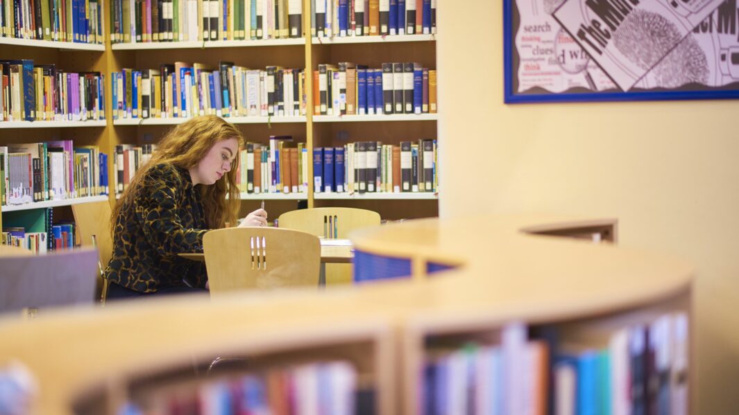 Students in the library.