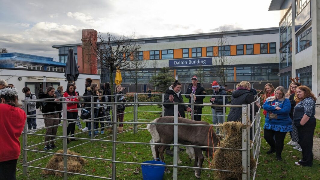 reindeer pen at carmel college