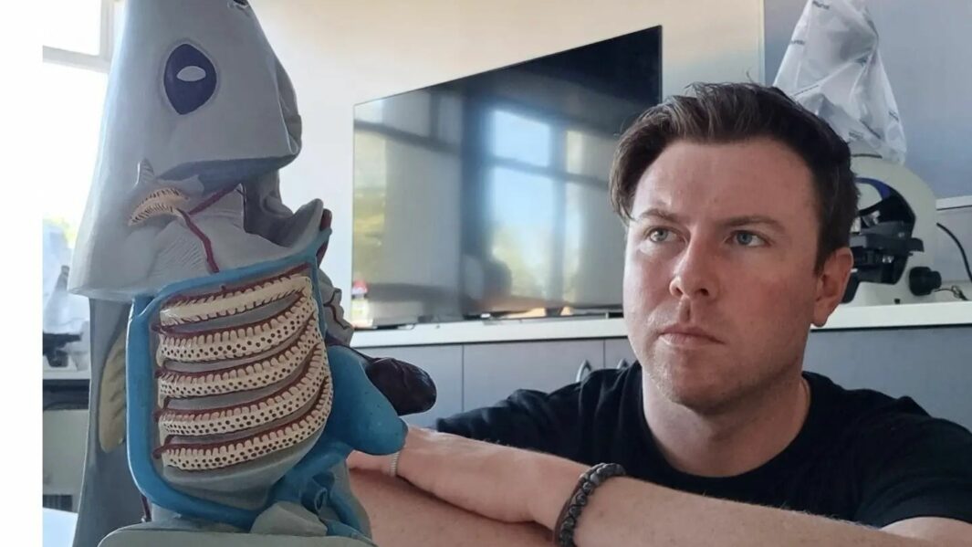 Former student Jack McElhinney in a lab looking at a model shark