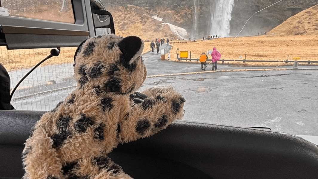Chester our Geography department mascot joins our A Level students on their trip to Iceland