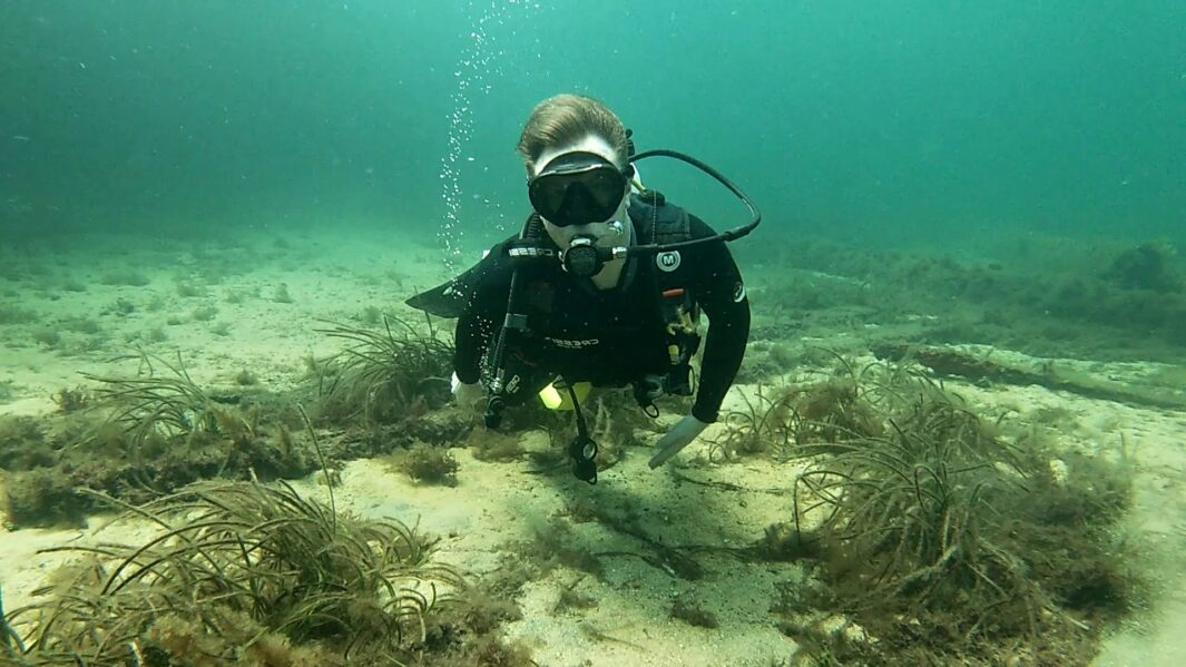 Jack McElhinney weraing diving gear under water in Anarctica