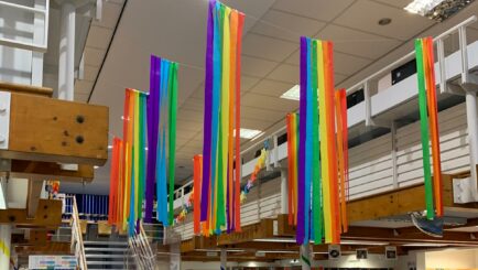Photo of the library with pride coloured flags