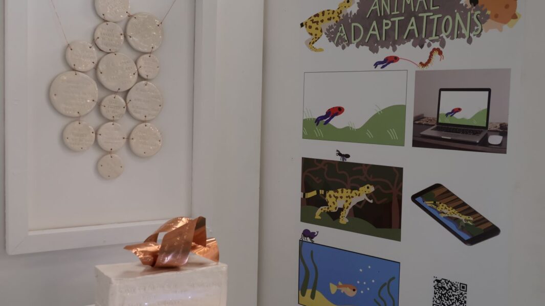 Artefact exhibition 3