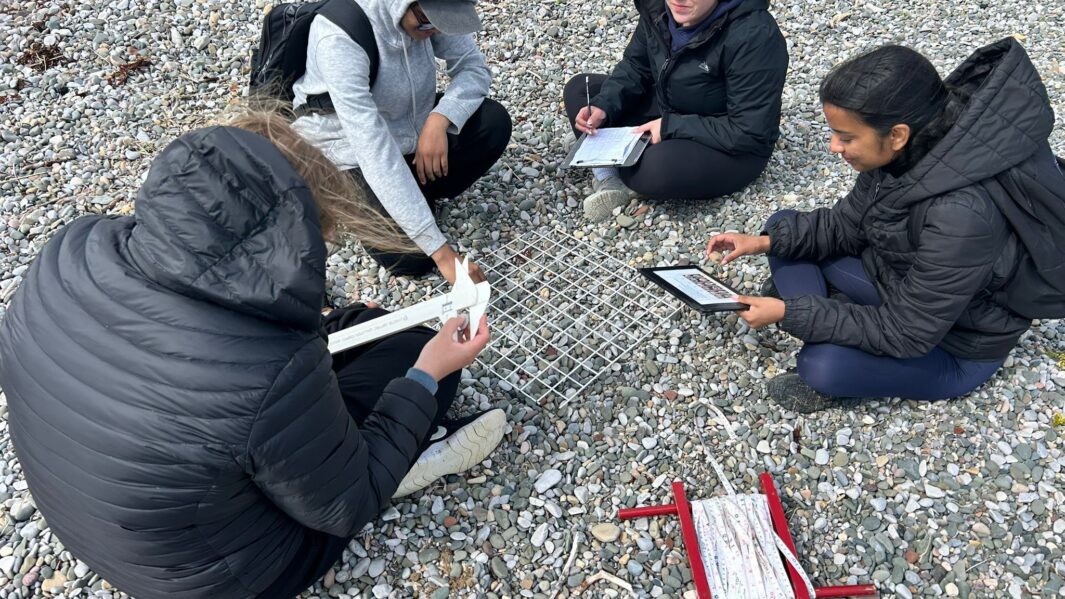 Geography fieldwork in Morecambe