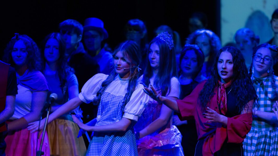 A large group of students dressed up on stage in the Wizard of Oz panto