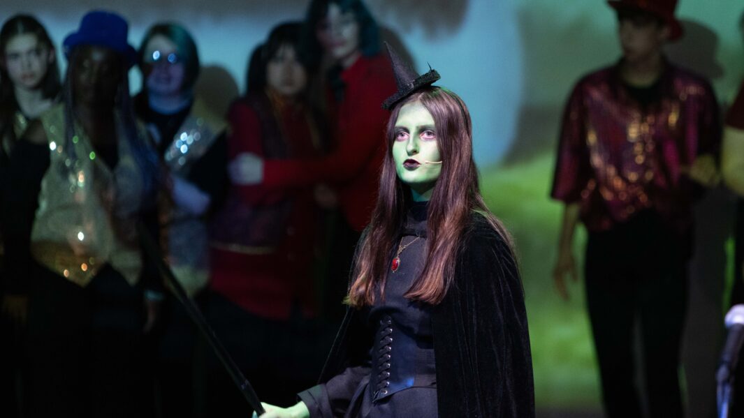 A large group of students dressed up on stage in the Wizard of Oz panto. The main character at the front is dressed as the wicked witch