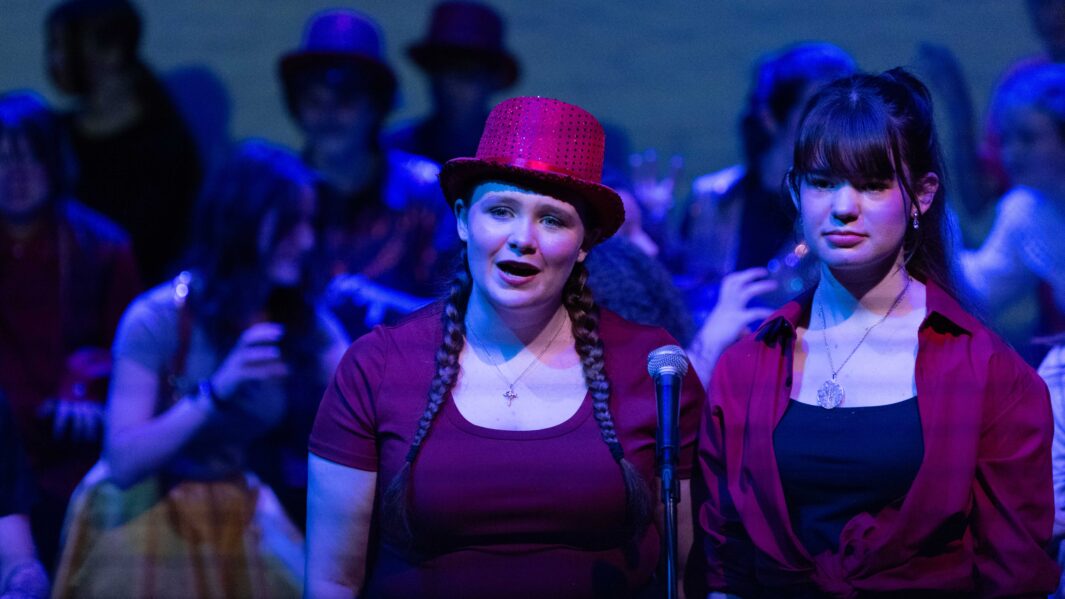 A large group of students dressed up on stage in the Wizard of Oz panto