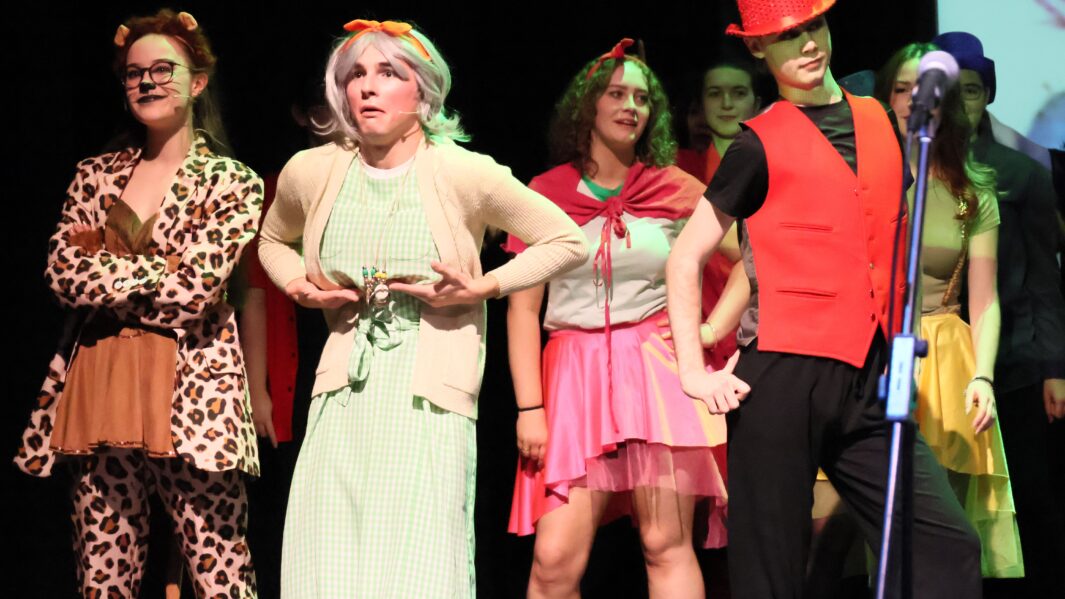 A large group of students dressed up on stage in the Wizard of Oz panto