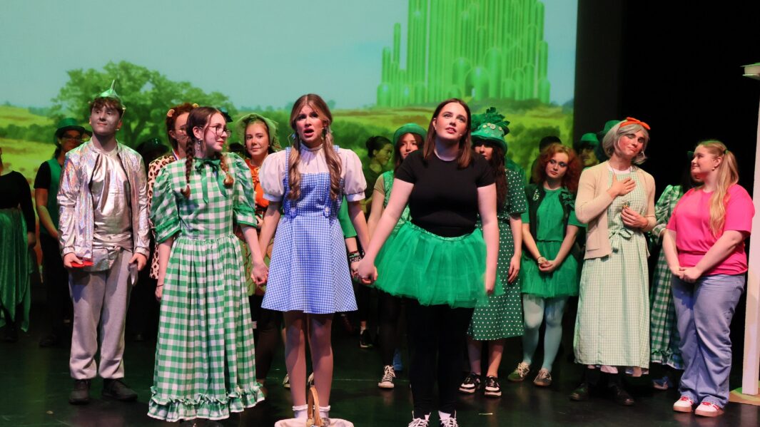 A large group of students dressed up on stage in the Wizard of Oz panto