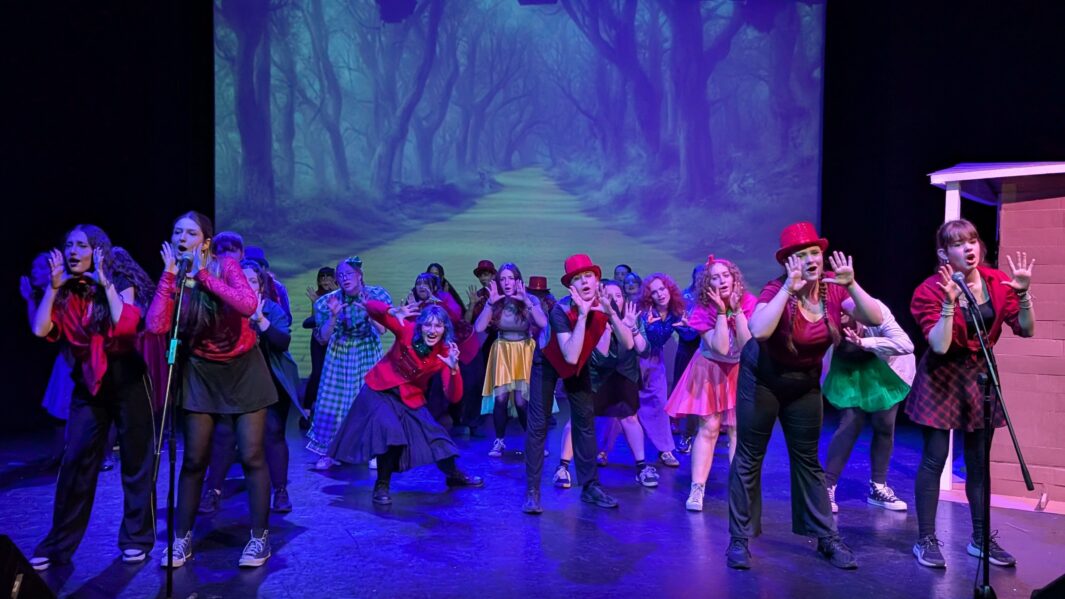 A large group of students dressed up on stage in the Wizard of Oz panto