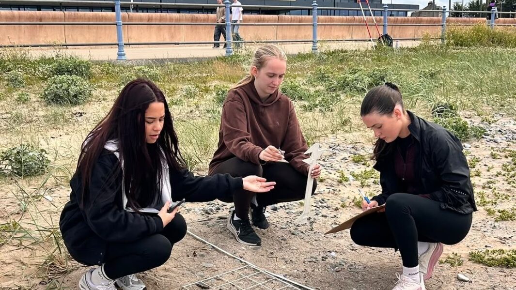 students doing some work on the beach