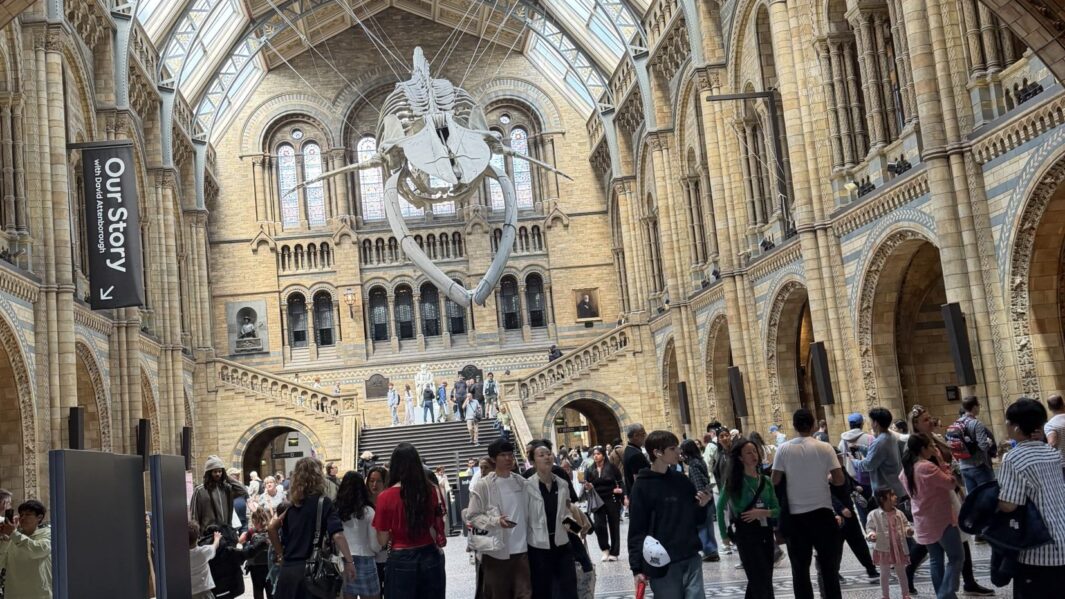 looking in a museum in london
