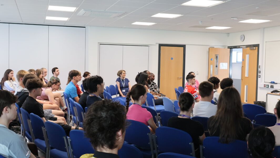 the audience watching the presentation